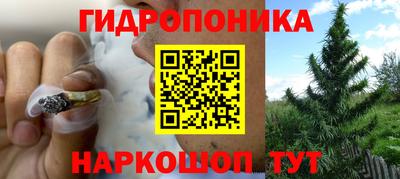 соль ск Кандалакша