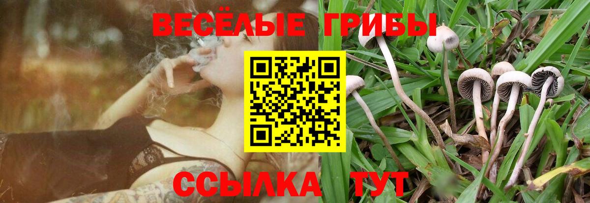 закладки  Вход с VPN  Оренбург  Псилоцибиновые грибы прущие грибы 